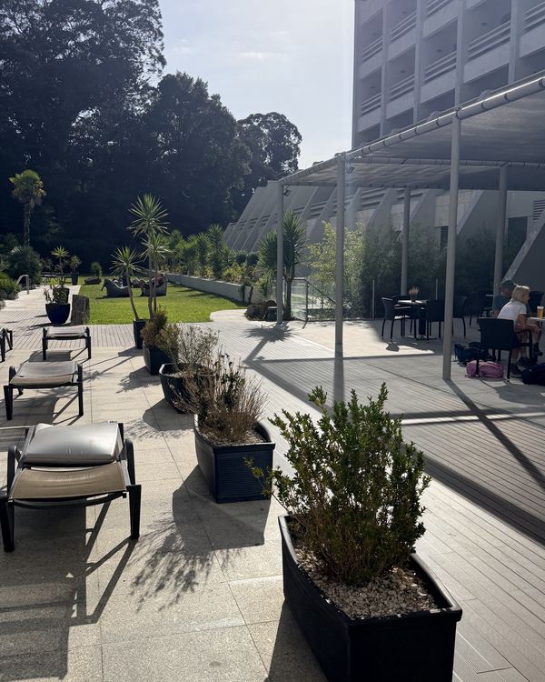 Terrasse et jardin du Porta do Sol, transats et palmiers au soleil
