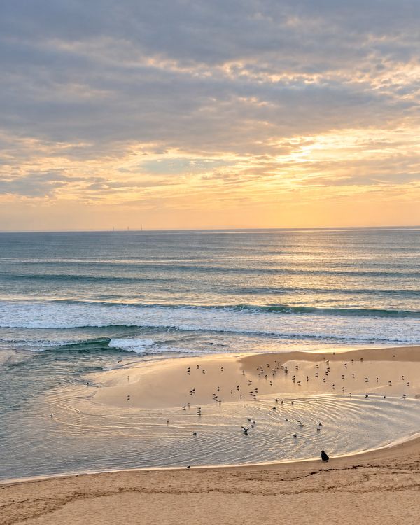 Vue du balcon : coucher de soleil sur l’océan, mouettes sur la plage