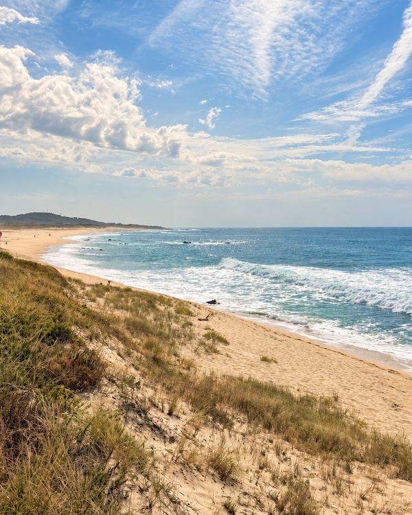 Dunes et plage sous un grand ciel bleu, vagues sur le sable